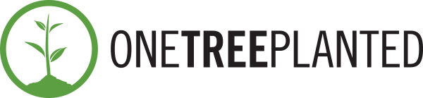 We're happy to announce we've partnered with One Tree Planted. - News from Digital Marketing Agency Gravity Digital