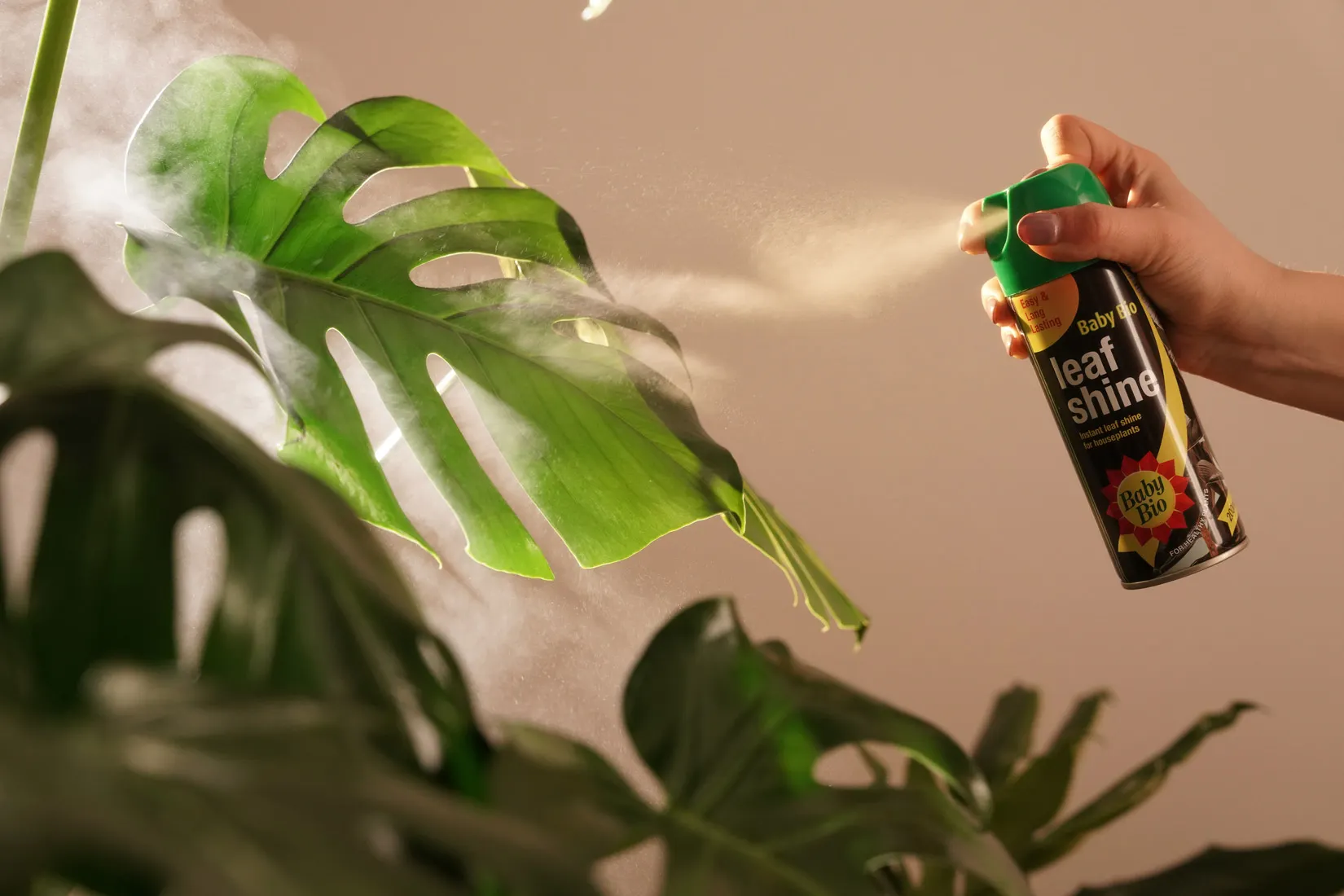 Baby Bio Gravity Case Study